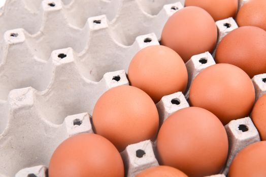group of eggs in paper tray