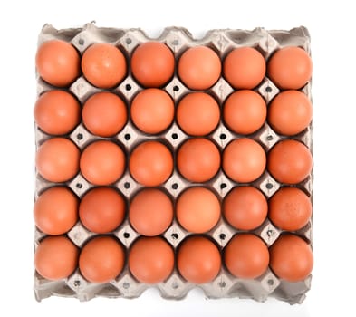 eggs in paper tray on white background