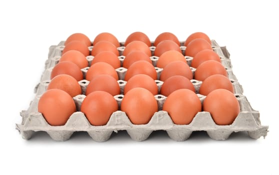 eggs in paper tray on white background