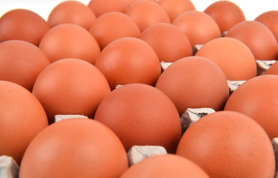 group of eggs in paper tray