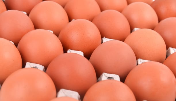 group of eggs in paper tray