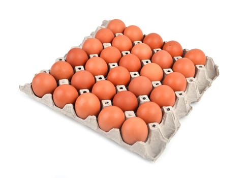 eggs in paper tray on white background