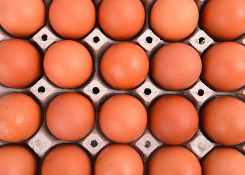 group of eggs in paper tray 