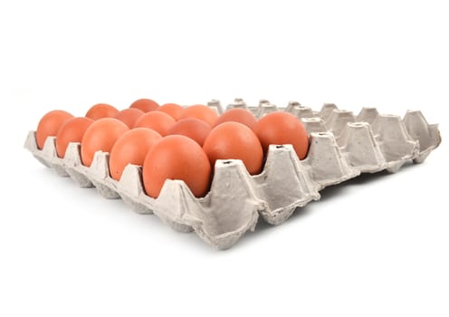 eggs in paper tray on white background