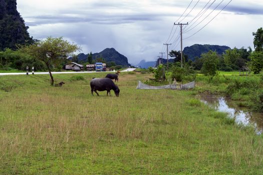 Roadside Landscape in Laos. Khammouane province, Autumn