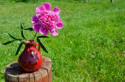 big red peony in earthen handmade pitcher on the stump grass background