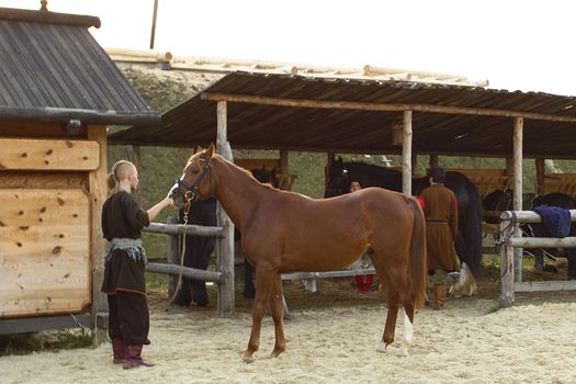 Place for horses outdoor area. Stables.