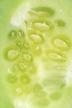 Fresh cucumber close up as a  background