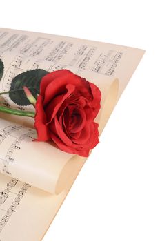 The rose on notebooks with musical notes