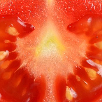 The red fresh tomatoes cut. Close up