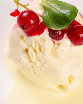 The vanilla ice cream with fresh currant