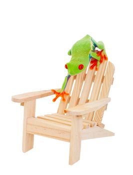 Tropical vacation concept.  A Red-Eyed Tree Frog on an Adirondack chair.  Isolated with clipping path.