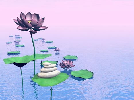 Pink lily flowers and leaves next to white stones upon water by colorful day