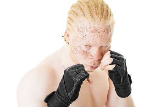 Portrait of an albino African-American boxer on white background.