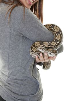 A curious pet boa snake held by a smiling young woman.  Shot on white background.
