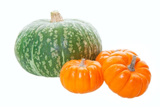 An arrangement of freshly harvested pumpkins and a large green squash.  Shot on white background.