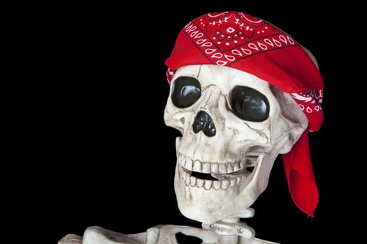Portrait of a biker skeleton with a red bandana around his head.  Shot on black background.