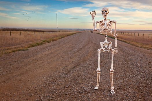 A friendly skeleton walking along a lone country road.