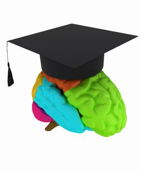 graduation hat on brain