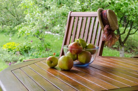 Apple tree fruits in glass dish on bower table in garden.