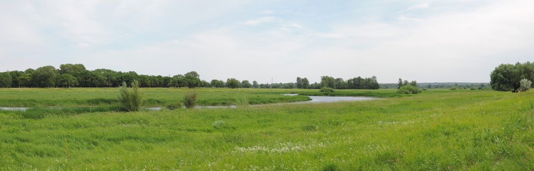 panorama of the river in the summer day 