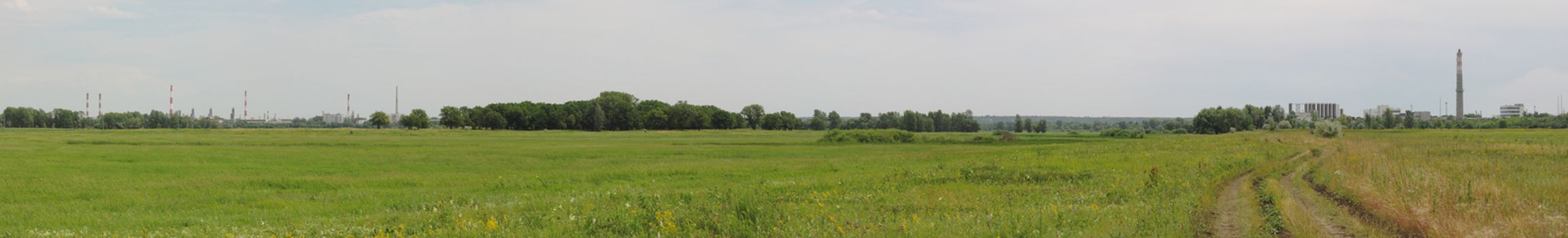 panorama plant on the horizon 