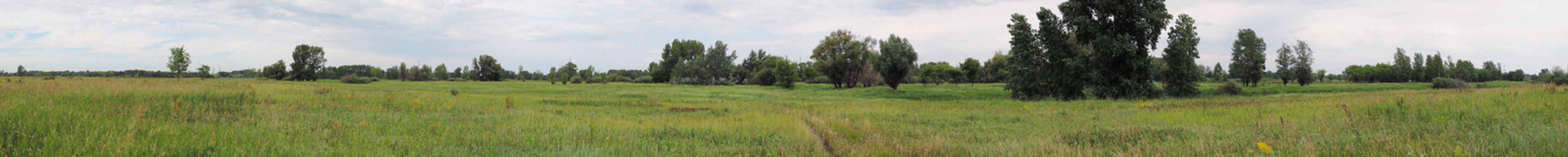 large summer field panorama