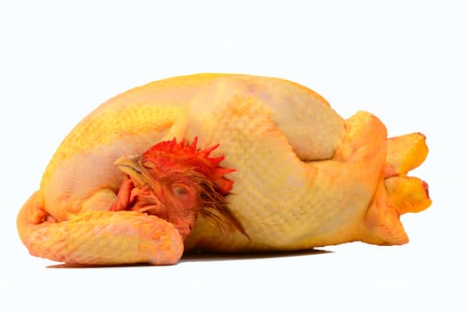 Poultry: Raw Chicken