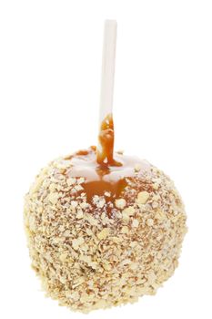 Caramel covered candy apple rolled in crush peanut.  Shot on white background.