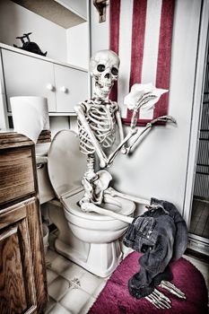 Skeleton handling the paperwork in the bathroom.  The crow has died from the fumes. HDR.