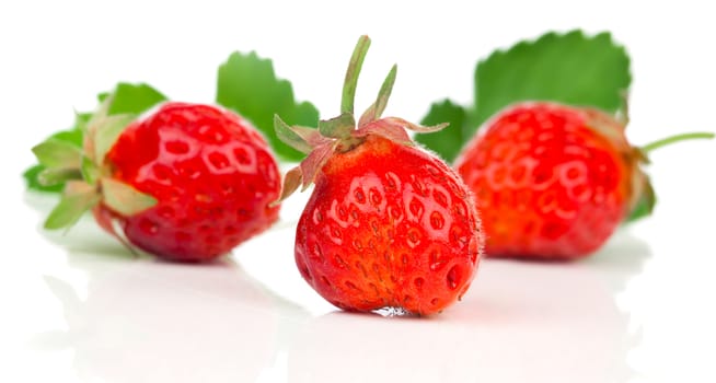 Strawberries isolated over white background