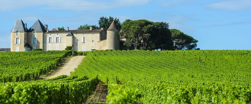 Vineyard and Chateau d'Yquem, Sauternes Region, Aquitaine, France