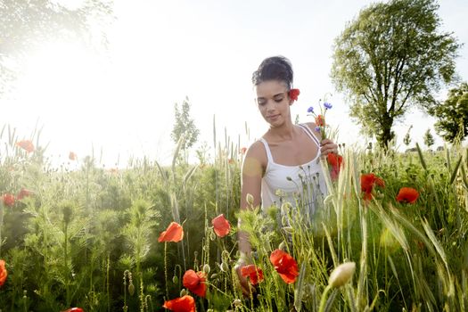 pretty young  woman picking bouquet