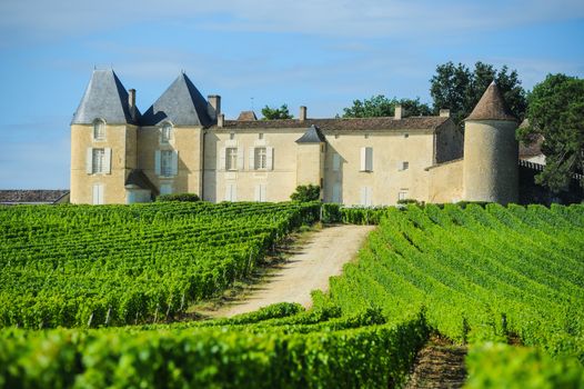 Vineyard and Chateau d'Yquem, Sauternes Region, Aquitaine, France