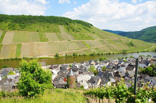 Weinort Briedel an der Mosel
