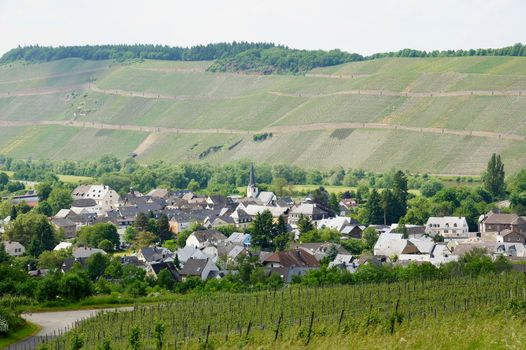 Mülheim an der Mosel im Frühling