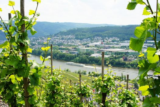 Bernkastel-Kues an der Mosel aus den Graacher Weinbergen gesehen
