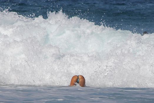 A young lady swimming in the surf in Puerto Escondido, Mexico
27 Mar 2013
No model release
Editorial only