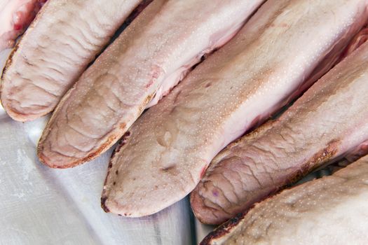 Photo of raw pork tongue on grey background