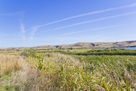 Photo of autumn landscape with blue sky