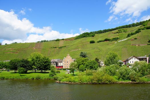 Ürzig an der Mosel im Frühsommer