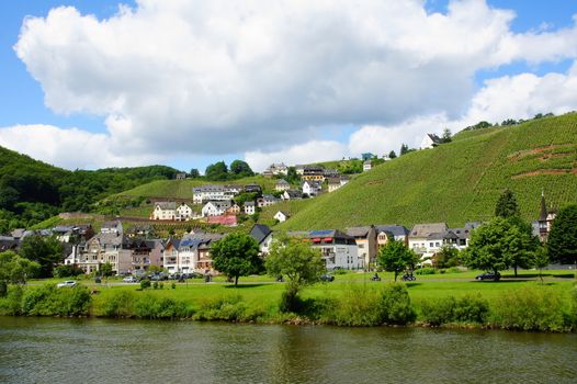 Ürzig an der Mosel im Frühsommer