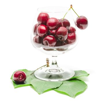 Big ripe cherry sweet and juicy berries fruits in clear wineglass on green fresh leaves isolated on white