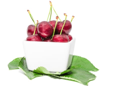 Small square bowl filled juicy sweet cherry wet berry with water drops on natural leaves isolated