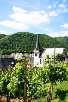 Mesenich an der Mosel mit Kirche
