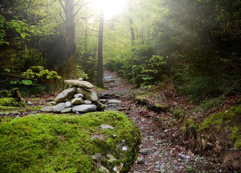 
precious stone path in the forest with sun beam