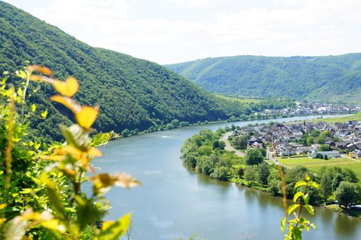 Moseltal bei Poltersdorf im Sommer
