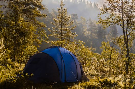 Camping in the woods with a tent.  Early in the morning with mist