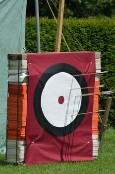 White and purple archery target