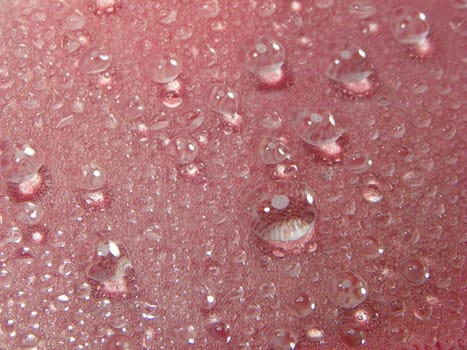 Water drops red background
